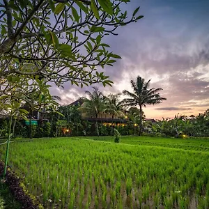 bliss-ubud-luxury-villa.ubudhotelsnow.com/